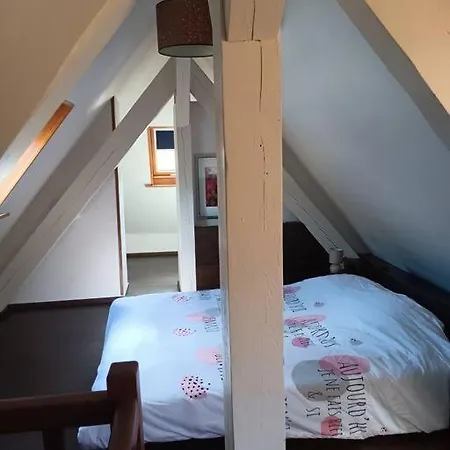 Superbe Au Centre De Avec 3 Appartement *