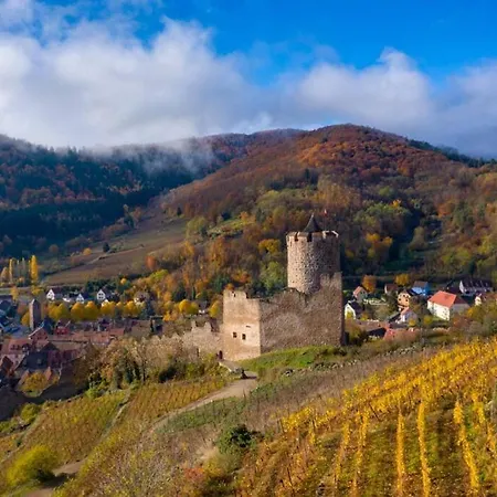 Superbe Au Centre De Avec 3 * Kaysersberg-Vignoble
